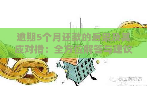 逾期5个月还款的后果及其应对措：全方位解答与建议