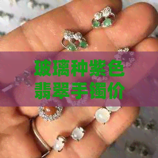 玻璃种紫色翡翠手镯价格鉴宝节目：飘绿挂件全方位解析