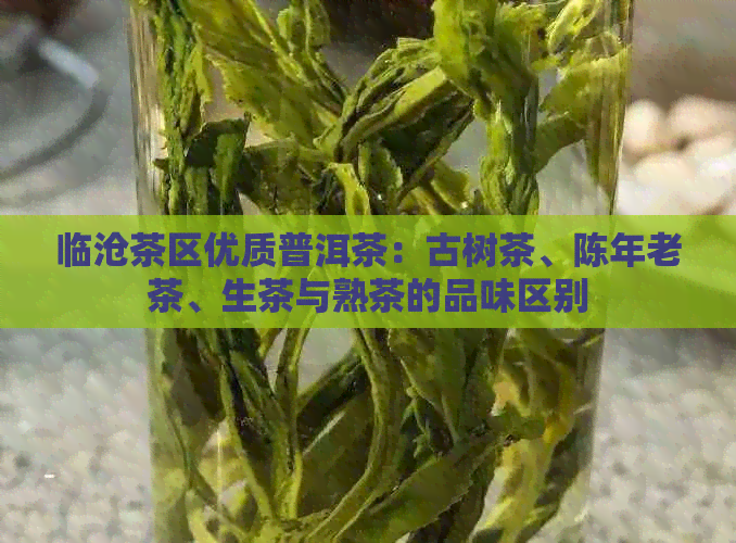 临沧茶区优质普洱茶：古树茶、陈年老茶、生茶与熟茶的品味区别