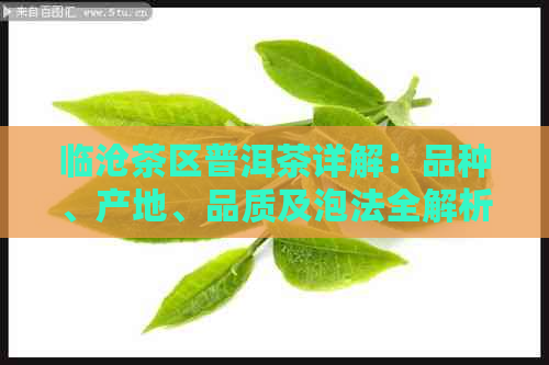 临沧茶区普洱茶详解：品种、产地、品质及泡法全解析