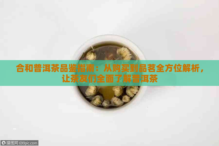 合和普洱茶品鉴指南：从购买到品茗全方位解析，让茶友们全面了解普洱茶