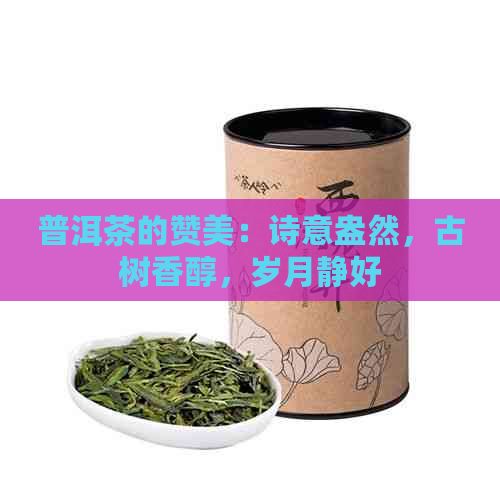 普洱茶的赞美：诗意盎然，古树香醇，岁月静好