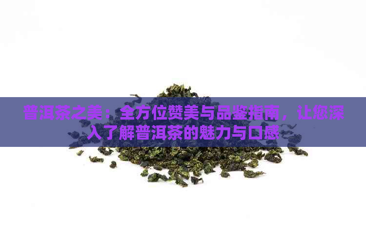 普洱茶之美：全方位赞美与品鉴指南，让您深入了解普洱茶的魅力与口感