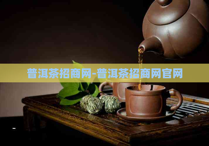 普洱茶招商网-普洱茶招商网官网