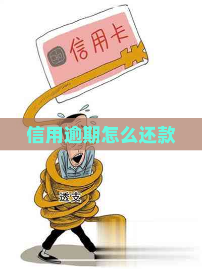 信用逾期怎么还款