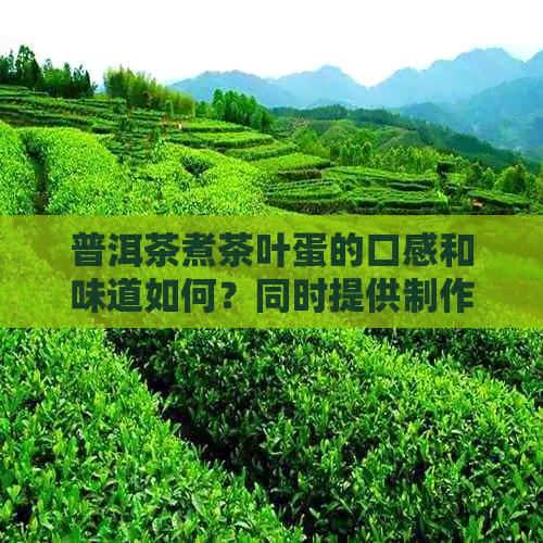 普洱茶煮茶叶蛋的口感和味道如何？同时提供制作方法和注意事项