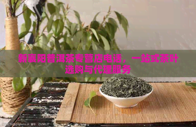 新襄阳普洱茶专营店电话，一站式茶叶选购与代理服务