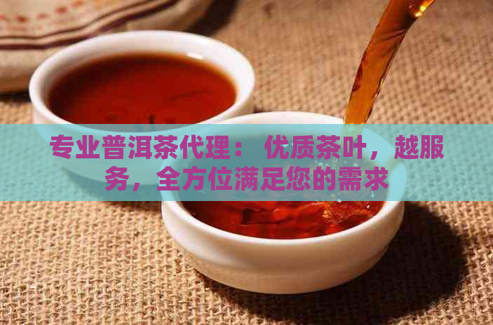 专业普洱茶代理： 优质茶叶，越服务，全方位满足您的需求