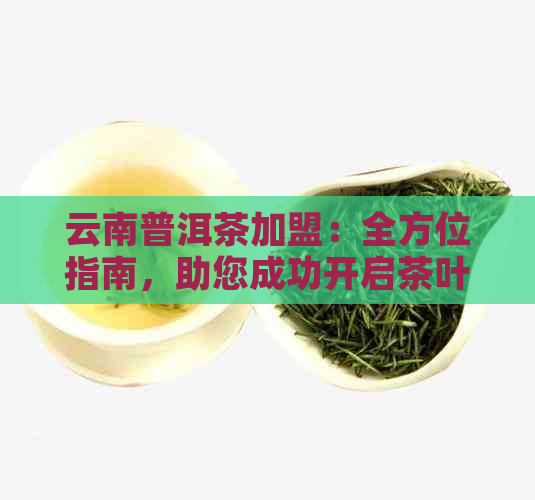 云南普洱茶加盟：全方位指南，助您成功开启茶叶事业