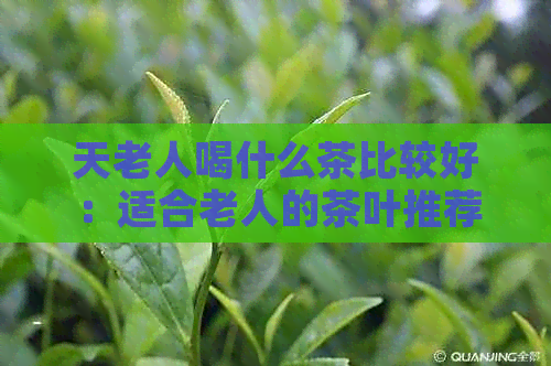 天老人喝什么茶比较好：适合老人的茶叶推荐