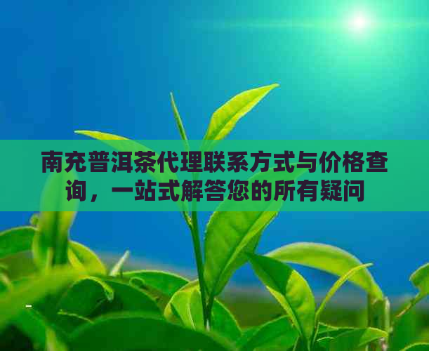 南充普洱茶代理联系方式与价格查询，一站式解答您的所有疑问