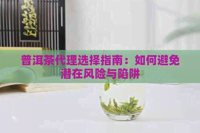 普洱茶代理选择指南：如何避免潜在风险与陷阱