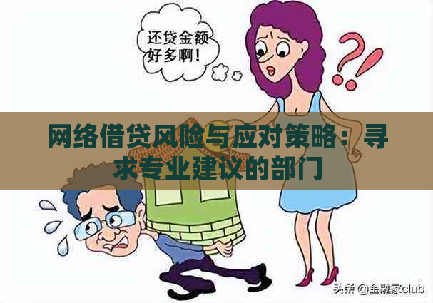 网络借贷风险与应对策略：寻求专业建议的部门