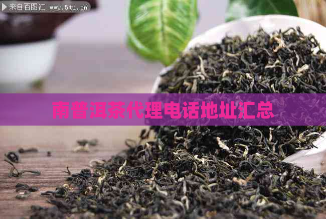 南普洱茶代理电话地址汇总