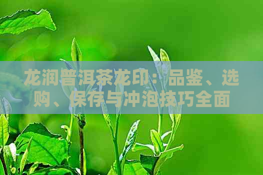 龙润普洱茶龙印：品鉴、选购、保存与冲泡技巧全面指南