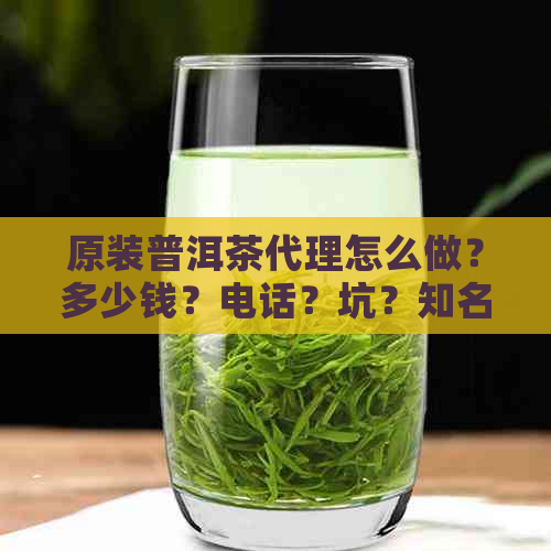 原装普洱茶代理怎么做？多少钱？电话？坑？知名条件？