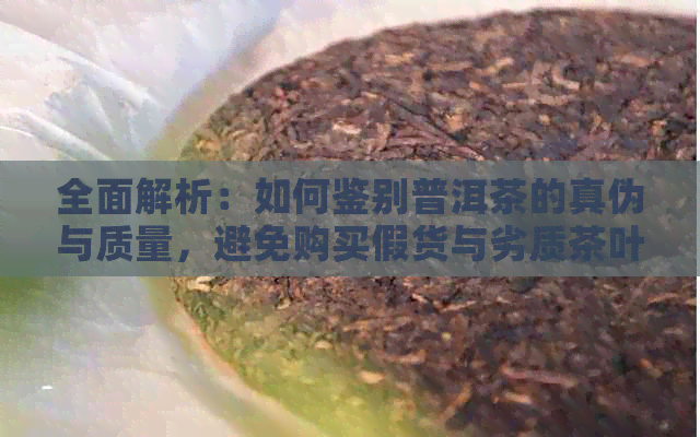 全面解析：如何鉴别普洱茶的真伪与质量，避免购买假货与劣质茶叶