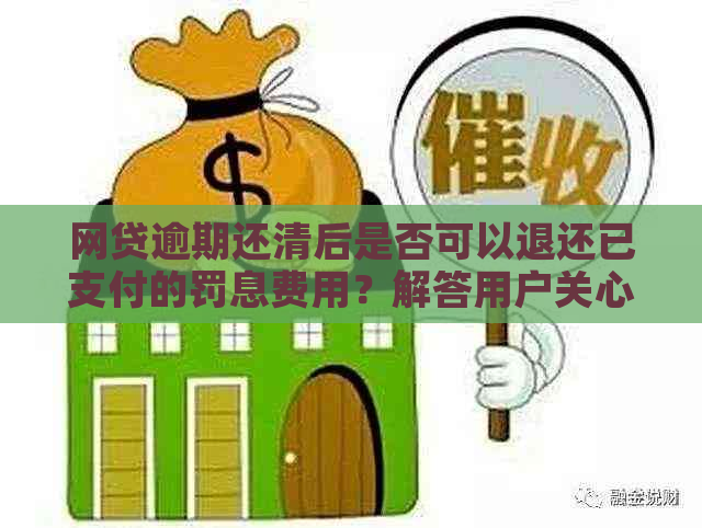 网贷逾期还清后是否可以退还已支付的罚息费用？解答用户关心的所有问题