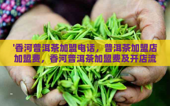 '香河普洱茶加盟电话，普洱茶加盟店加盟费，香河普洱茶加盟费及开店流程'