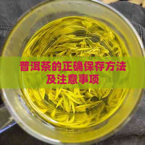 普洱茶的正确保存方法及注意事项