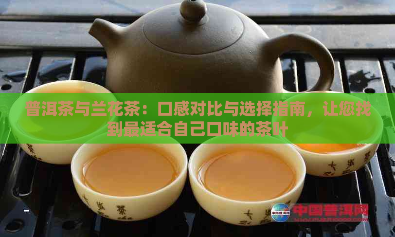 普洱茶与兰花茶：口感对比与选择指南，让您找到最适合自己口味的茶叶