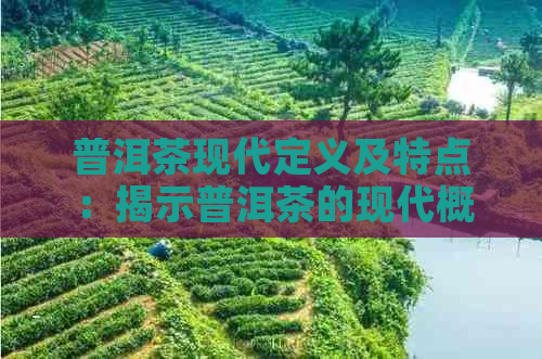 普洱茶现代定义及特点：揭示普洱茶的现代概念及其独特品质。