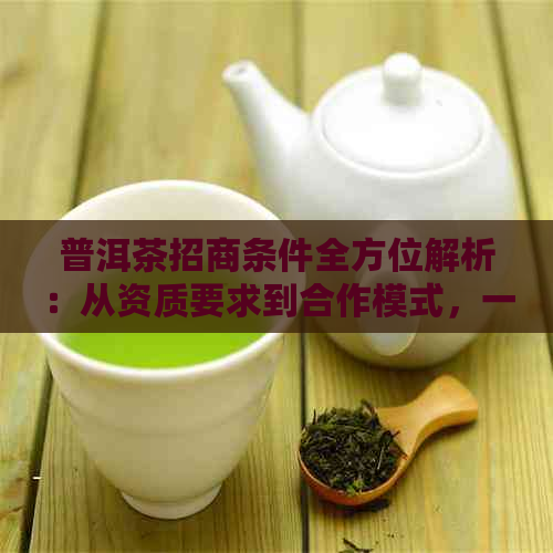 普洱茶招商条件全方位解析：从资质要求到合作模式，一应俱全