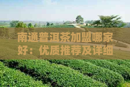 南通普洱茶加盟哪家好：优质推荐及详细比较