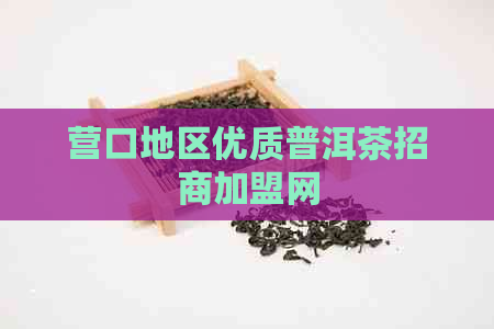 营口地区优质普洱茶招商加盟网