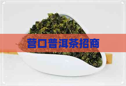 营口普洱茶招商