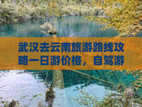 武汉去云南旅游路线攻略一日游价格，自驾游详细指南