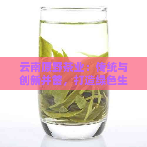 云南原野茶业：传统与创新并蓄，打造绿色生态普洱茶