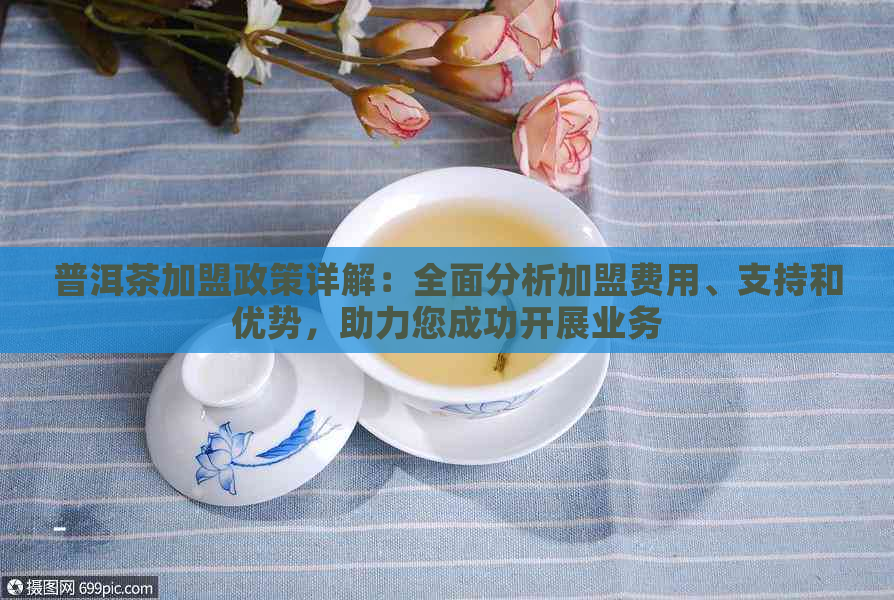 普洱茶加盟政策详解：全面分析加盟费用、支持和优势，助力您成功开展业务