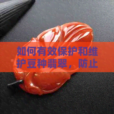 如何有效保护和维护豆种翡翠，防止变种现象的发生？