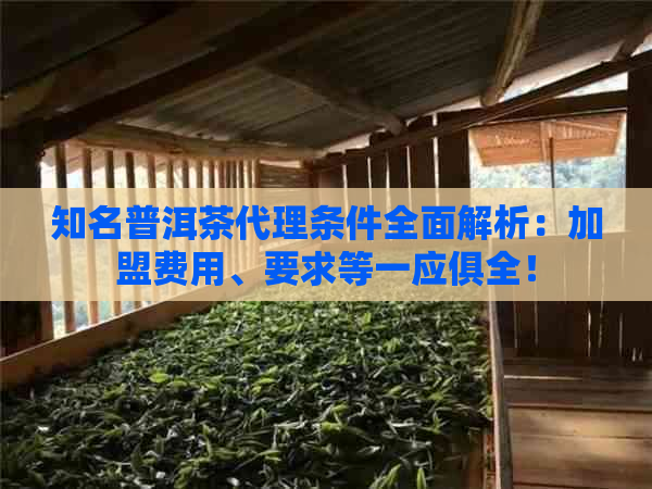 知名普洱茶代理条件全面解析：加盟费用、要求等一应俱全！