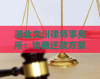 湖北文川：协商还款方案，债务处理专家