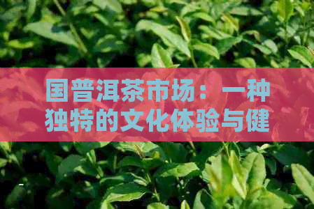 国普洱茶市场：一种独特的文化体验与健生活方式的结合