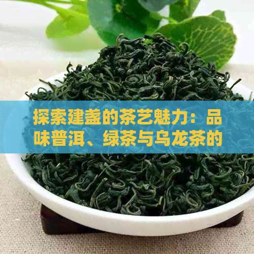 探索建盏的茶艺魅力：品味普洱、绿茶与乌龙茶的搭配