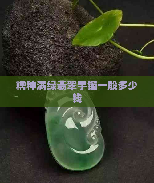 糯种满绿翡翠手镯一般多少钱