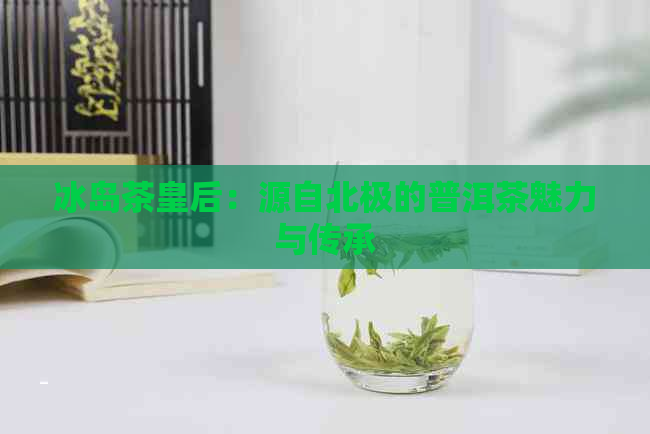 冰岛茶皇后：源自北极的普洱茶魅力与传承