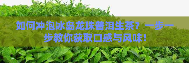 如何冲泡冰岛龙珠普洱生茶？一步一步教你获取口感与风味！