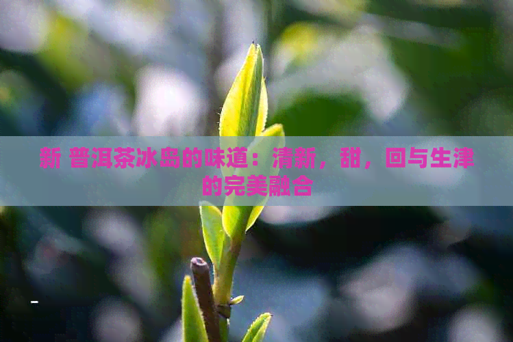 新 普洱茶冰岛的味道：清新，甜，回与生津的完美融合