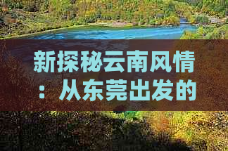 新探秘云南风情：从东莞出发的完美旅行路线及实用攻略