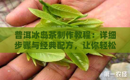 普洱冰岛茶制作教程：详细步骤与经典配方，让你轻松掌握冰岛茶的泡法