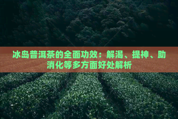 冰岛普洱茶的全面功效：解渴、提神、助消化等多方面好处解析