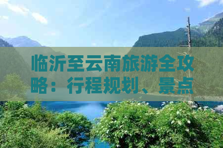 临沂至云南旅游全攻略：行程规划、景点推荐、住宿及交通指南一应俱全