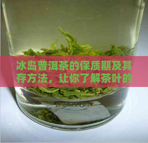 冰岛普洱茶的保质期及其存方法，让你了解茶叶的持久魅力