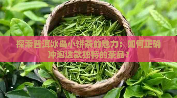 探索普洱冰岛小饼茶的魅力：如何正确冲泡这款独特的茶品？