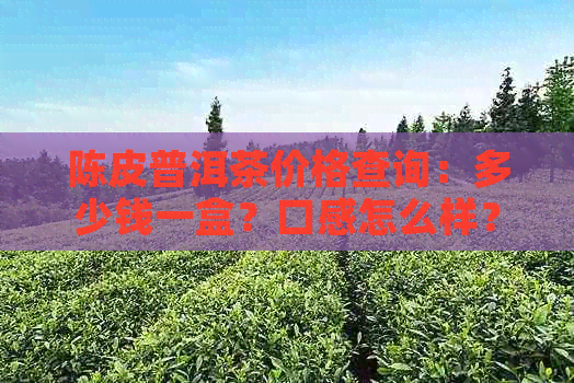 陈皮普洱茶价格查询：多少钱一盒？口感怎么样？功效与作用及食用方法