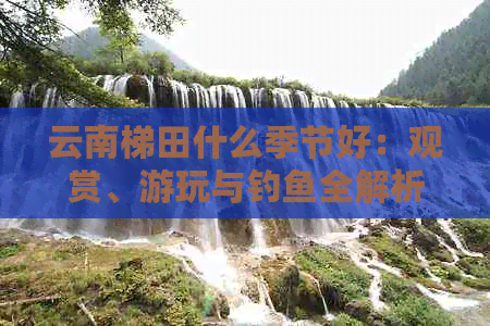 云南梯田什么季节好：观赏、游玩与钓鱼全解析，更佳时间及地点揭秘